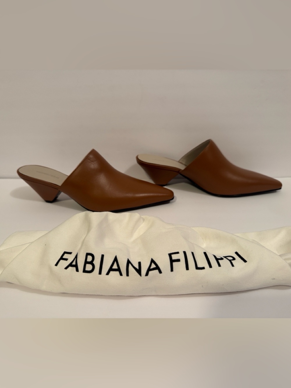 Fabiana Filippi Pointed Toe Brown Leather Mules with Triangular Heel